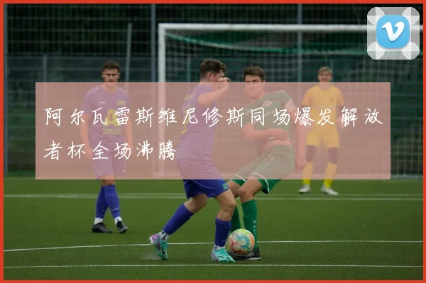 阿尔瓦雷斯维尼修斯同场爆发解放者杯全场沸腾