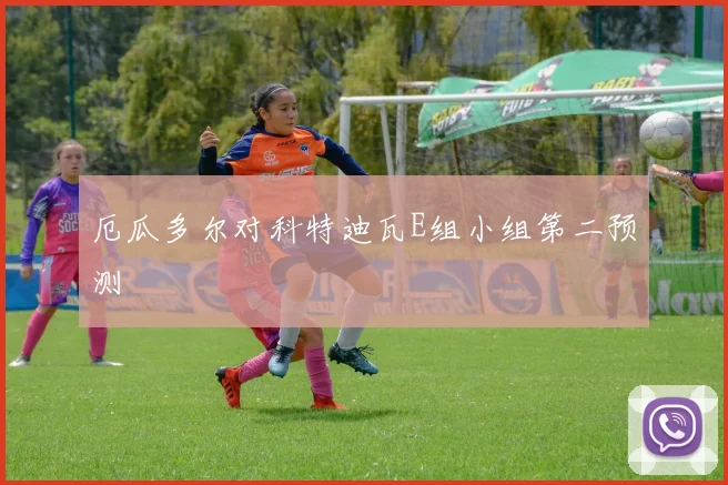 厄瓜多尔对科特迪瓦E组小组第二预测