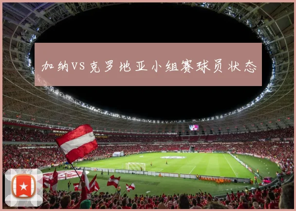 加纳vs克罗地亚小组赛球员状态