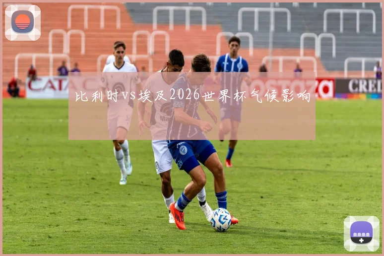 比利时vs埃及2026世界杯气候影响