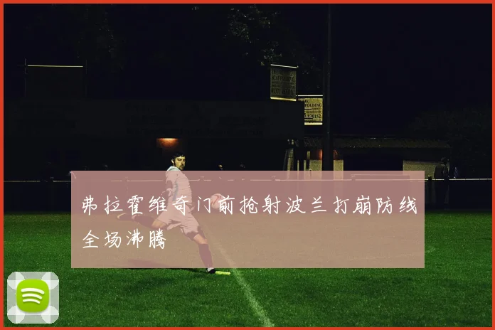 弗拉霍维奇门前抢射波兰打崩防线全场沸腾