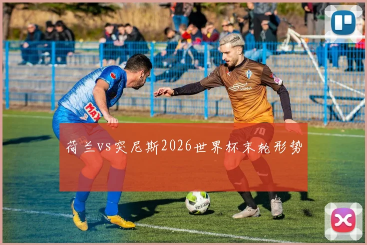 荷兰vs突尼斯2026世界杯末轮形势