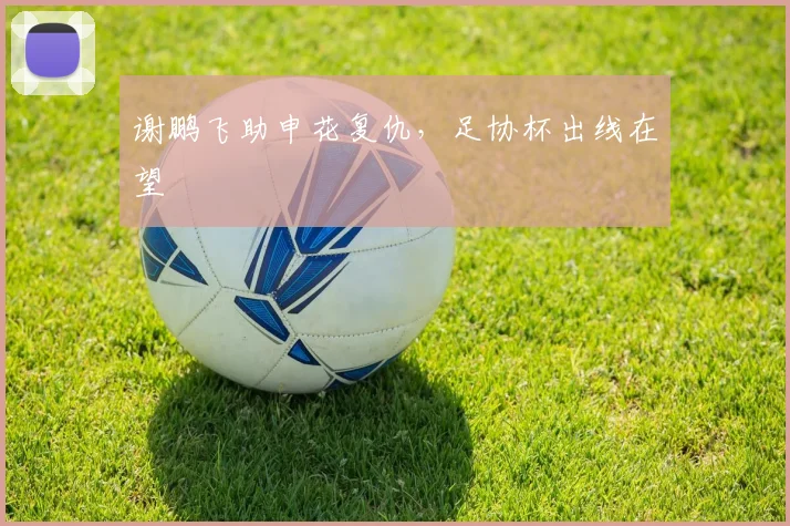 谢鹏飞助申花复仇，足协杯出线在望