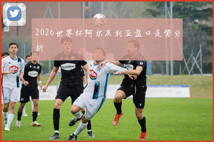 2026世界杯阿尔及利亚盘口走势分析