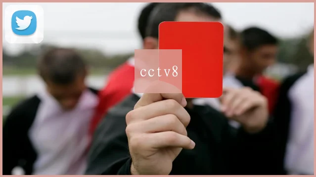 cctv8