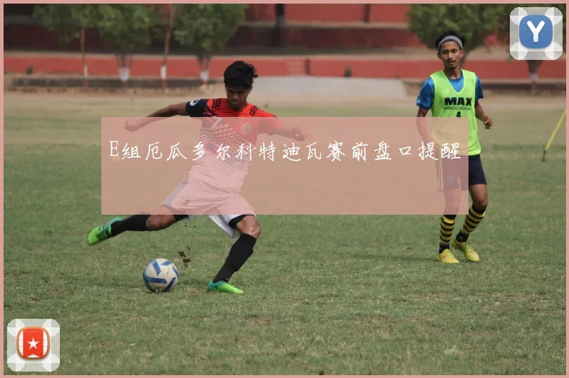E组厄瓜多尔科特迪瓦赛前盘口提醒