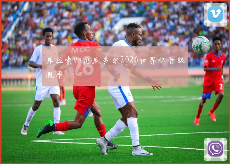 库拉索vs厄瓜多尔2026世界杯晋级概率