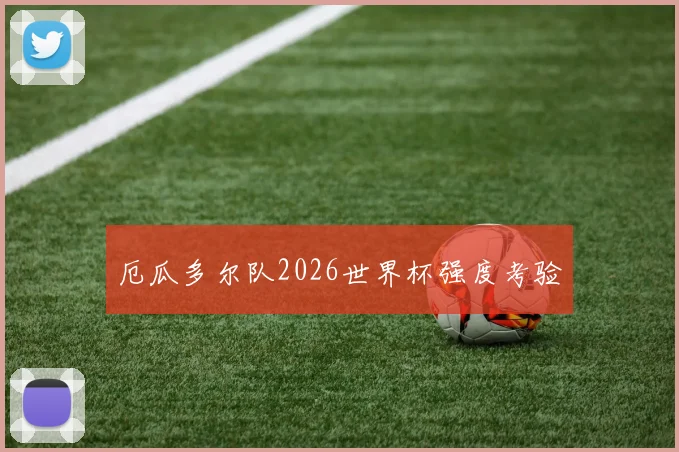 厄瓜多尔队2026世界杯强度考验