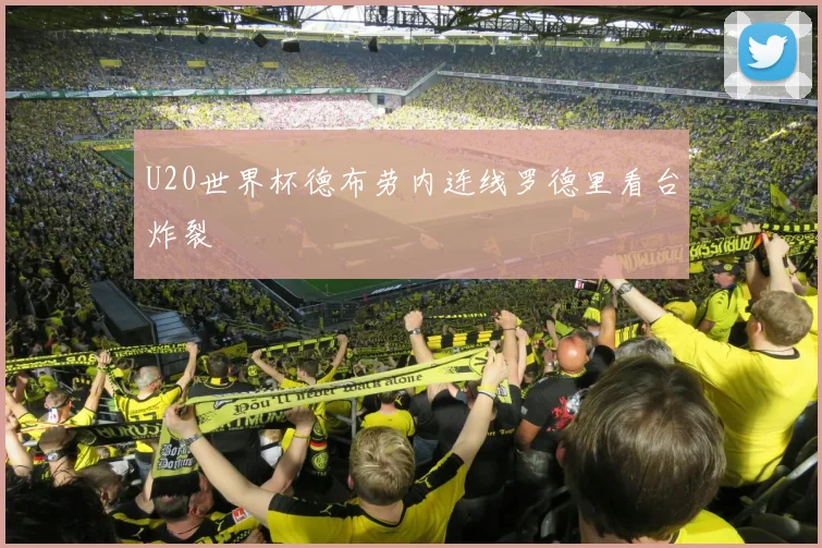 U20世界杯德布劳内连线罗德里看台炸裂
