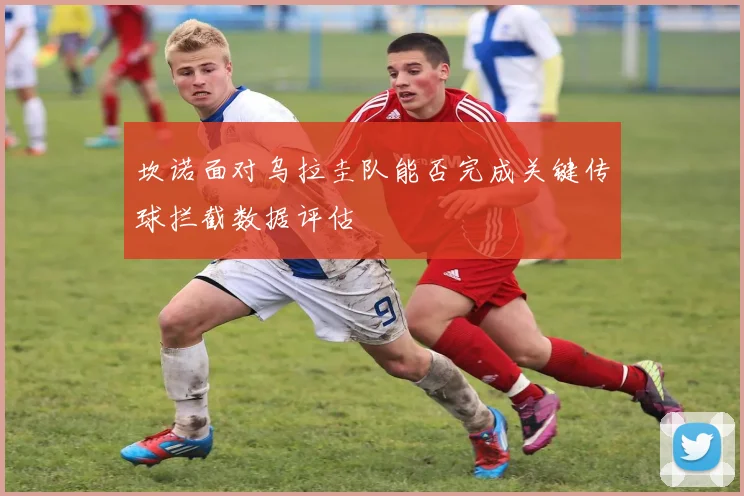 坎诺面对乌拉圭队能否完成关键传球拦截数据评估
