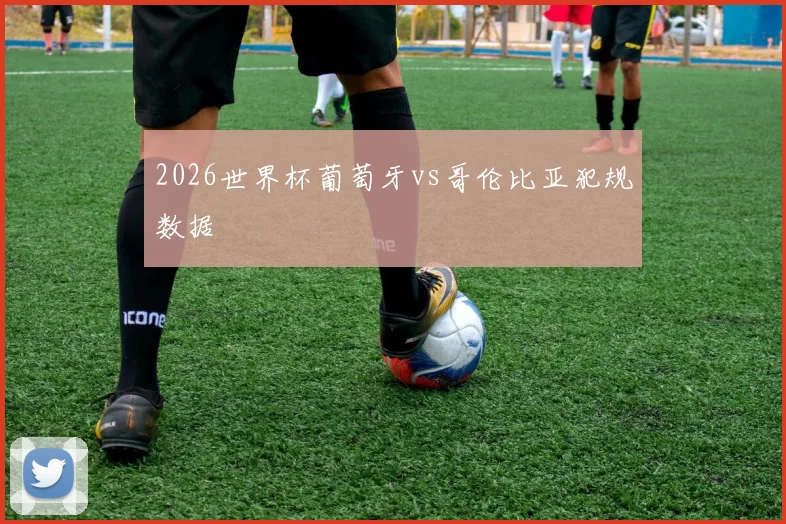 2026世界杯葡萄牙vs哥伦比亚犯规数据